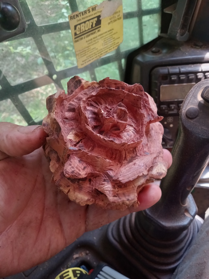 Are you a good artist?