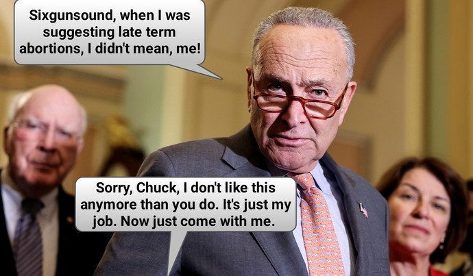 Do you agree with democratic Senate majority leader Chuck Schumer's abortion on demand bill?