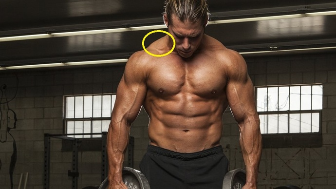 Girls, What size upper lats do you think are best on a man?