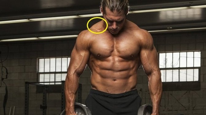 Girls, What size upper lats do you think are best on a man?