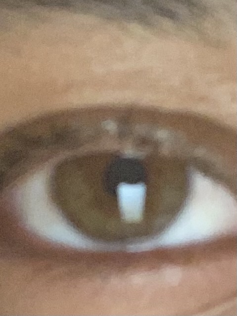 Hazel but they change to dark brown sometimes 