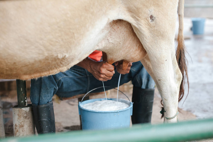 How do you get your MILK?