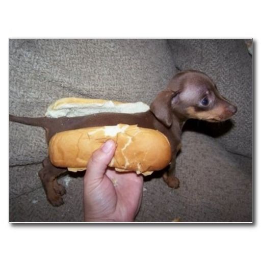 What is the best way to slice a hotdog bun?