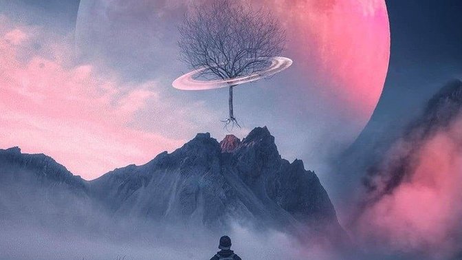 What comes to find when you see this euphoric picture?