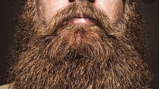 Girls, Ladies, do you like beards?