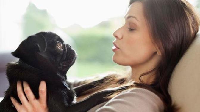 Do you talk to your pets?