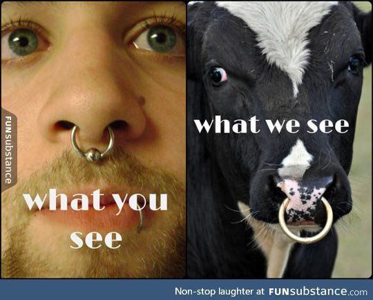 Guys: do you like women with piercings? if not, why?