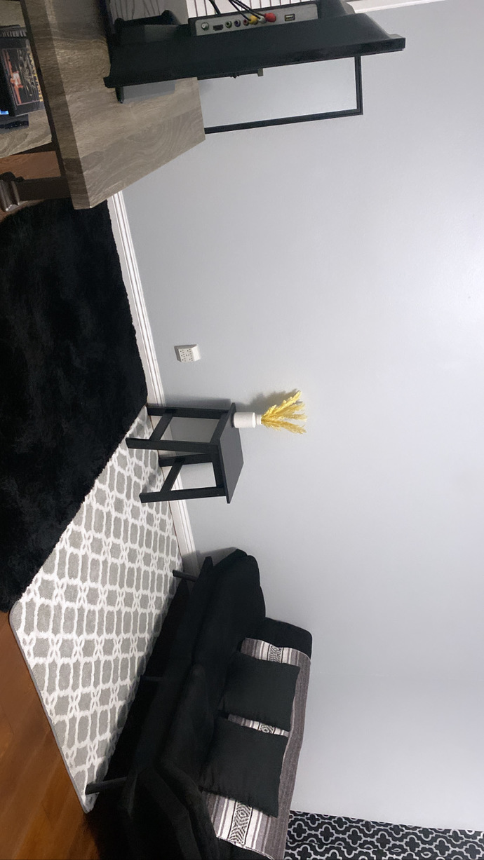 Poll- should I buy white or black curtains for my living room?