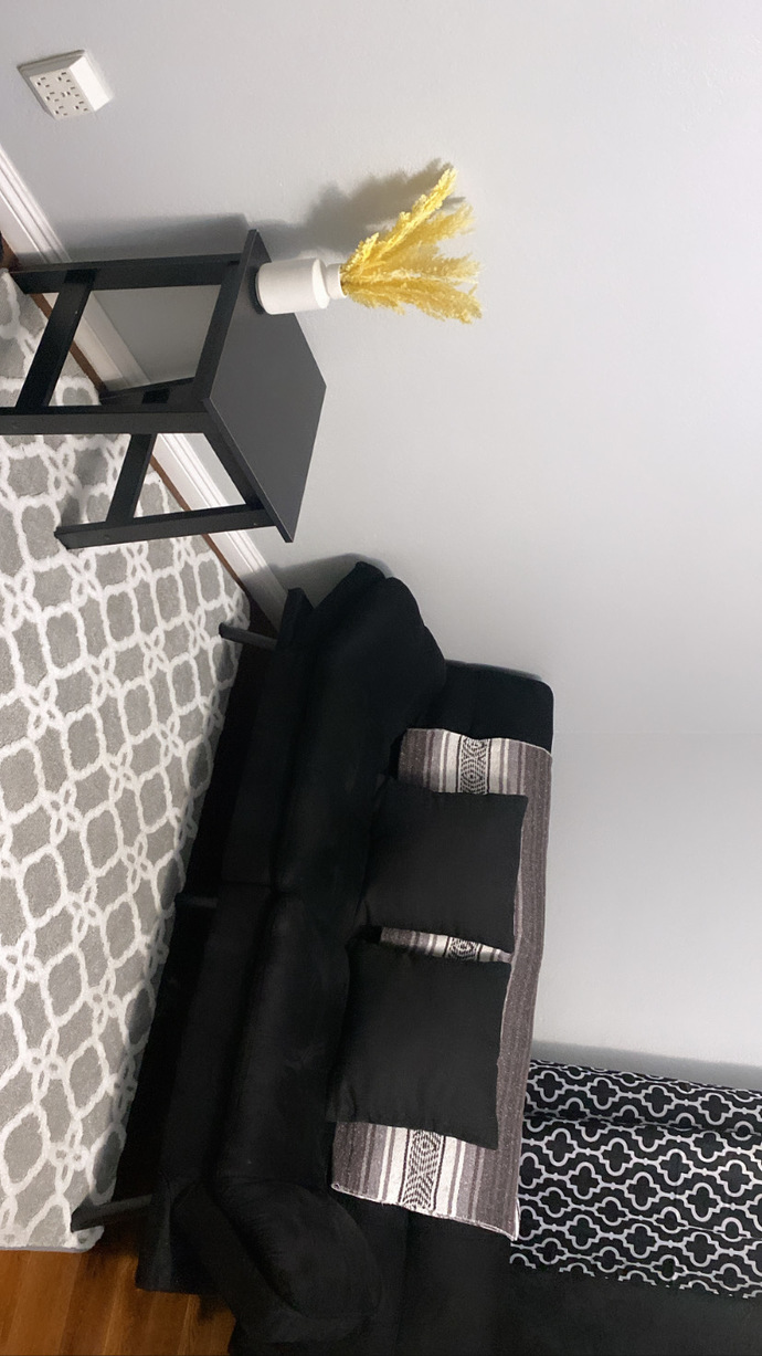 Poll- should I buy white or black curtains for my living room?