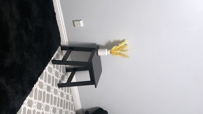 Poll- should I buy white or black curtains for my living room?