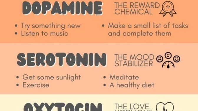 How do you increase your happiness chemicals?