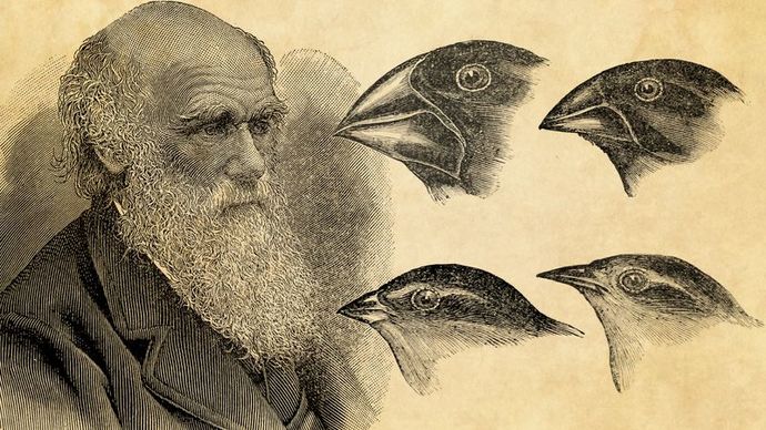 Has Charles Darwins Theory of Evolution been pretty much proven?