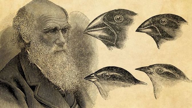 Has Charles Darwin's Theory of Evolution been pretty much proven?