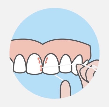How many times a day do you floss?
