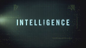Would you rather have good looks or intelligence?