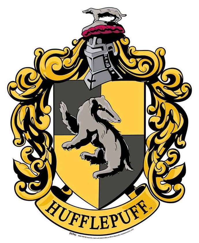 Which of the four houses of Hogwarts would you be sorted into?