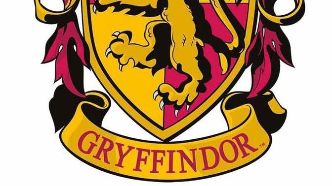 Which of the four houses of Hogwarts would you be sorted into?