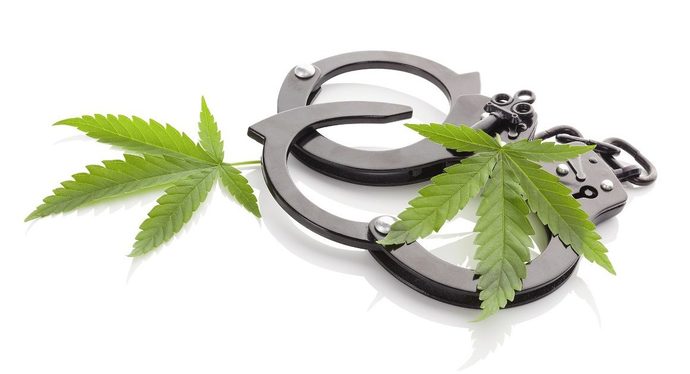 Should marijuana be decriminalized?