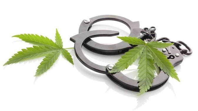 Should marijuana be decriminalized?