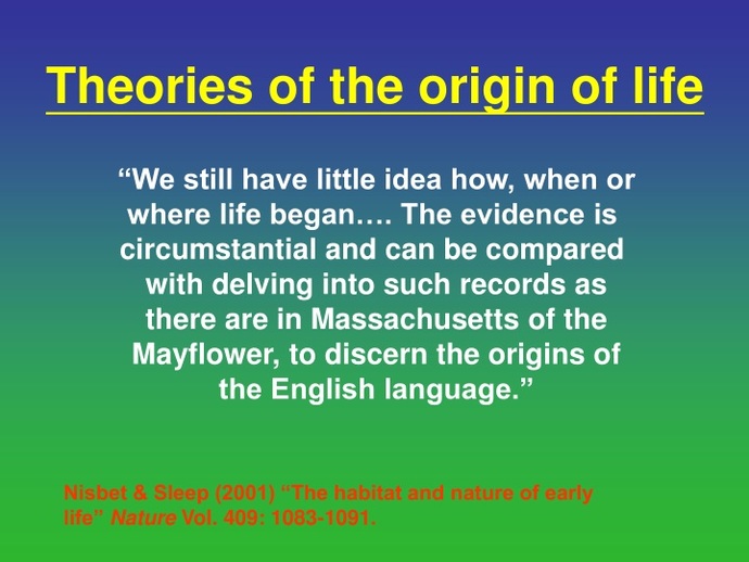 Where did life originate?