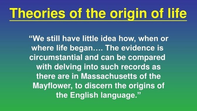 Where did life originate?
