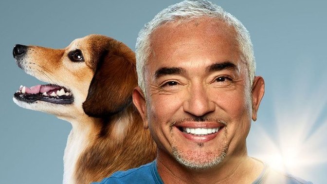 For dog lovers, do you like Cesar Millan the dog whisperer?