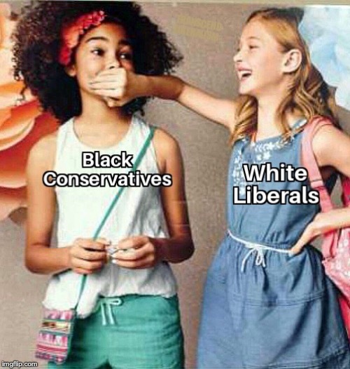 Why does everyone say that republicans are racist?