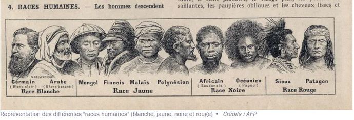 Are Italian people considered white or do you think Southern Europeans should have their own ethnicity?