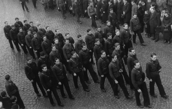 What political system would you support in WW1 if you could change the actual situation?