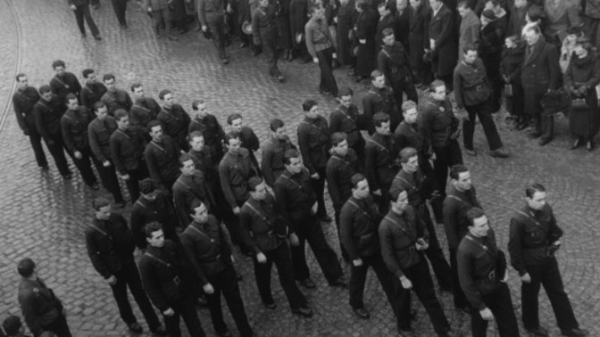 What political system would you support in WW1 if you could change the actual situation?