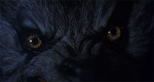 Are you more animal than man/woman?