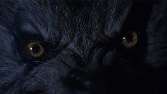 Are you more animal than man/woman?