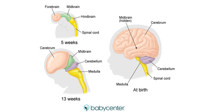 For all those in favor of abortion, does this bother you?