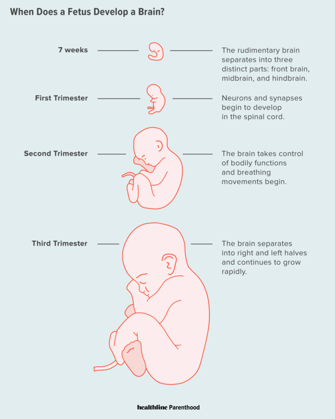 For all those in favor of abortion, does this bother you?