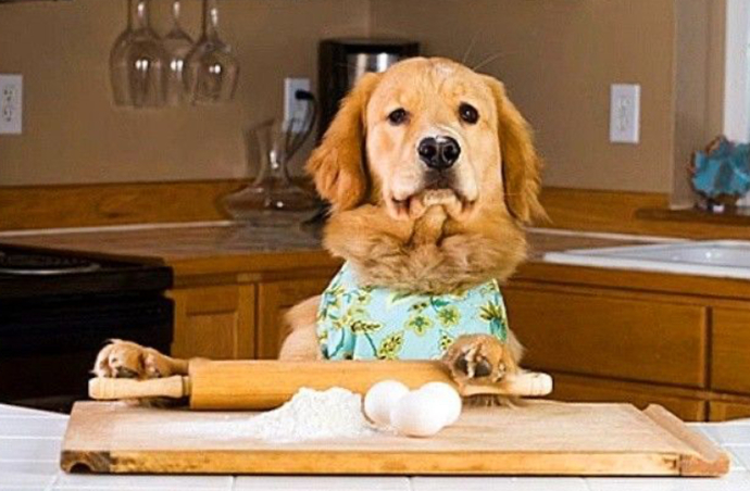 If You Were On A Cooking Show What Would You Make?