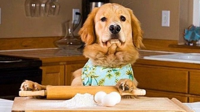 If You Were On A Cooking Show What Would You Make?