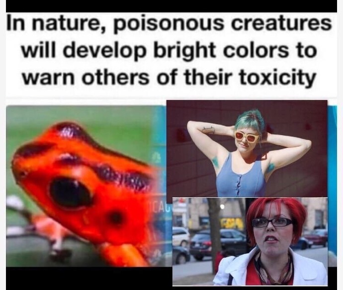 Do men value femininity in a woman 🌸?