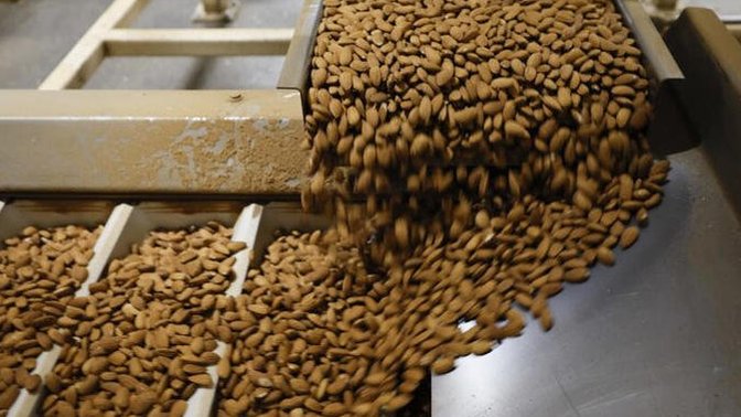 Would you eat a Californian's nuts?