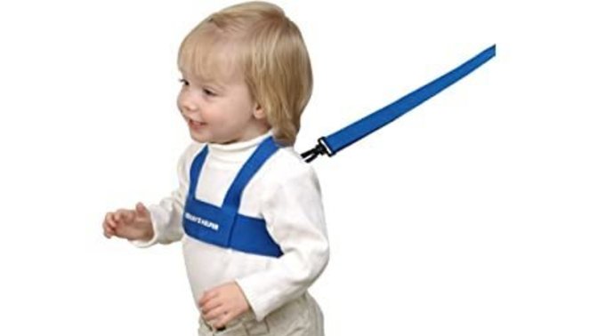 Would you put your child on a leash/a child harness? Why or why not?