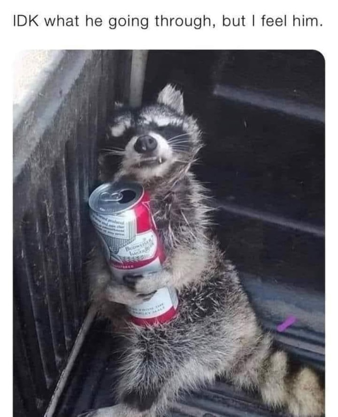 🤣