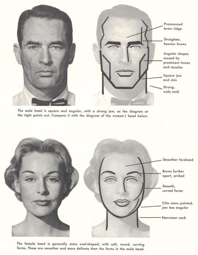 Which type do you prefer in terms of looks?