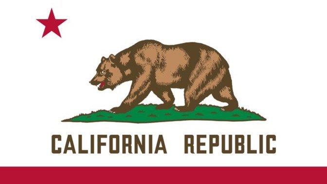 What should be the next state to make abortion illegal?