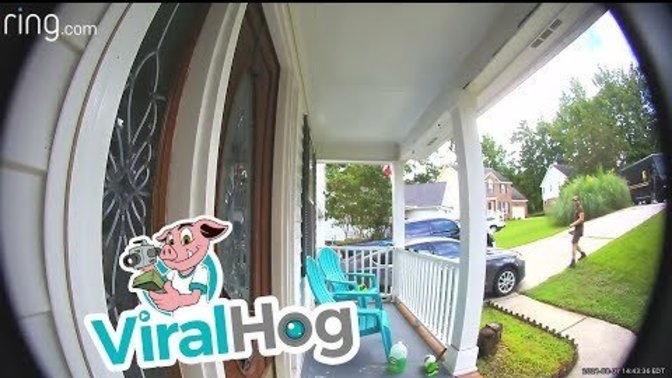 To dog owners, how would you feel if your dog busted through one of your windows to attack a delivery person?