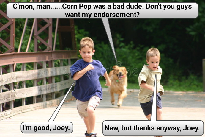 With the elections just 4 months away, why hasnt Joey been throwing out endorsements to Democratic candidates?