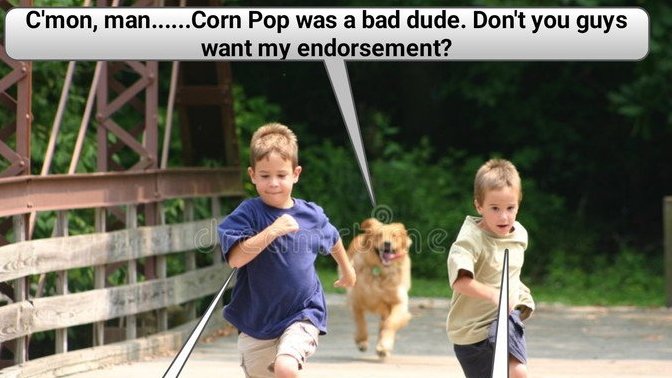 With the elections just 4 months away, why hasn't Joey been throwing out endorsements to Democratic candidates?
