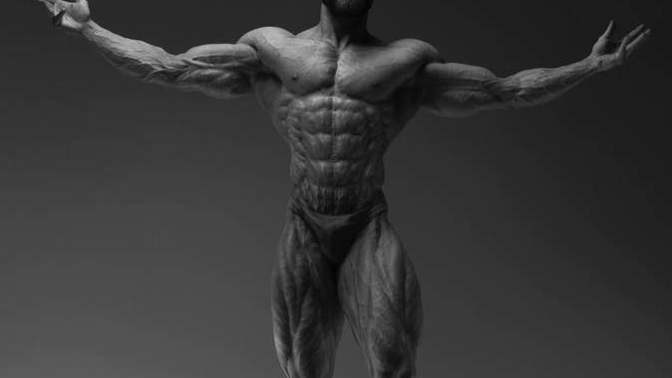 How did gigachad get a 10 pack?