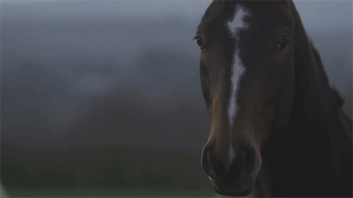 Which of these mythological horse-like creatures do you like most?
