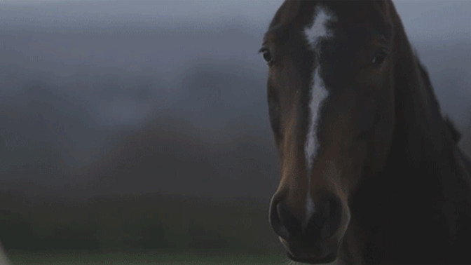 Which of these mythological horse-like creatures do you like most?