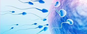 How are men not freaking out about their fertility crisis?