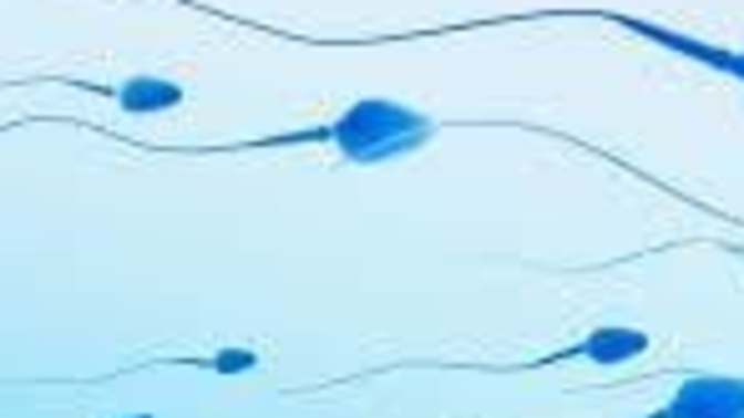How are men not freaking out about their fertility crisis?
